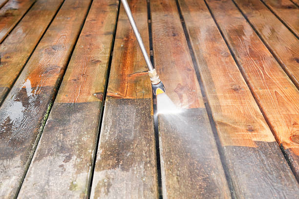 Best Local Pressure Washing Services  in Shady Spring, WV
